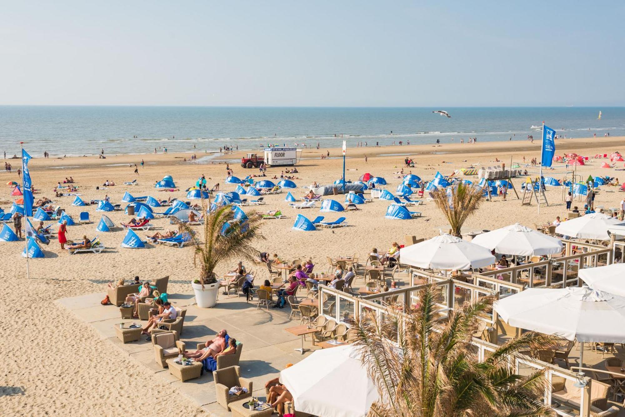 Marley'S Beachhouse - Luxury Apartment With Garden Zandvoort Kültér fotó